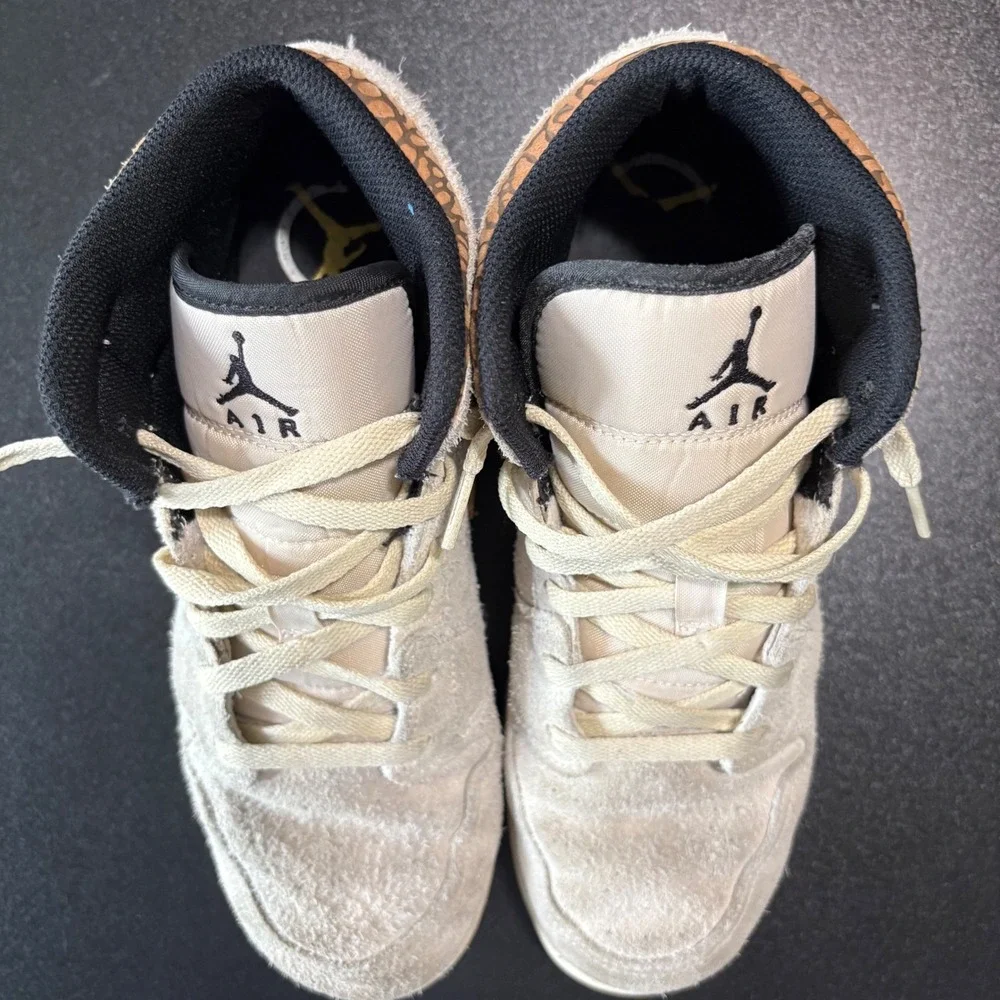 Jordan nike air